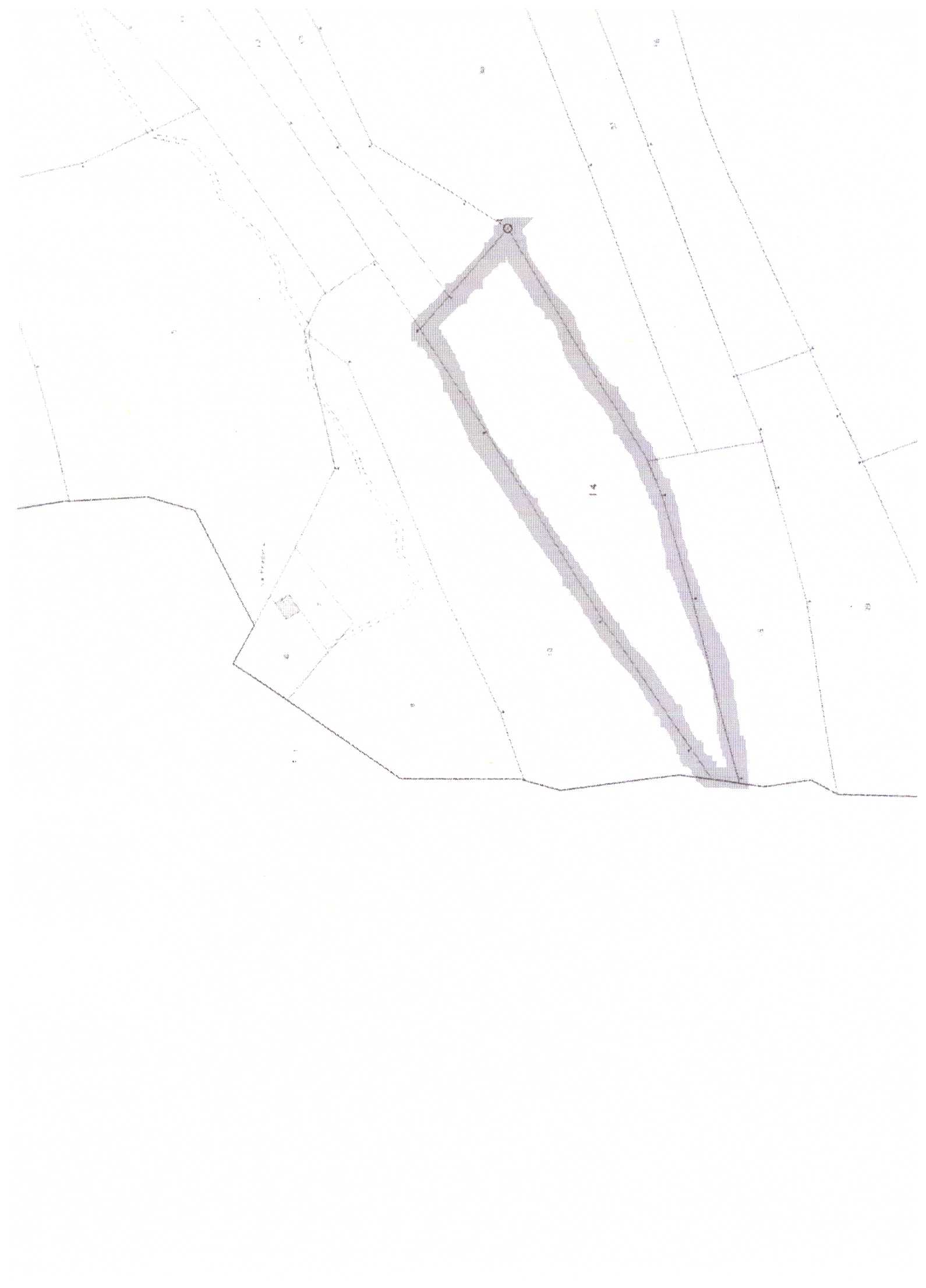 TRANA – zona boschiva oltre B.ta Galletto. C.T. Foglio 30 mappale n. 14