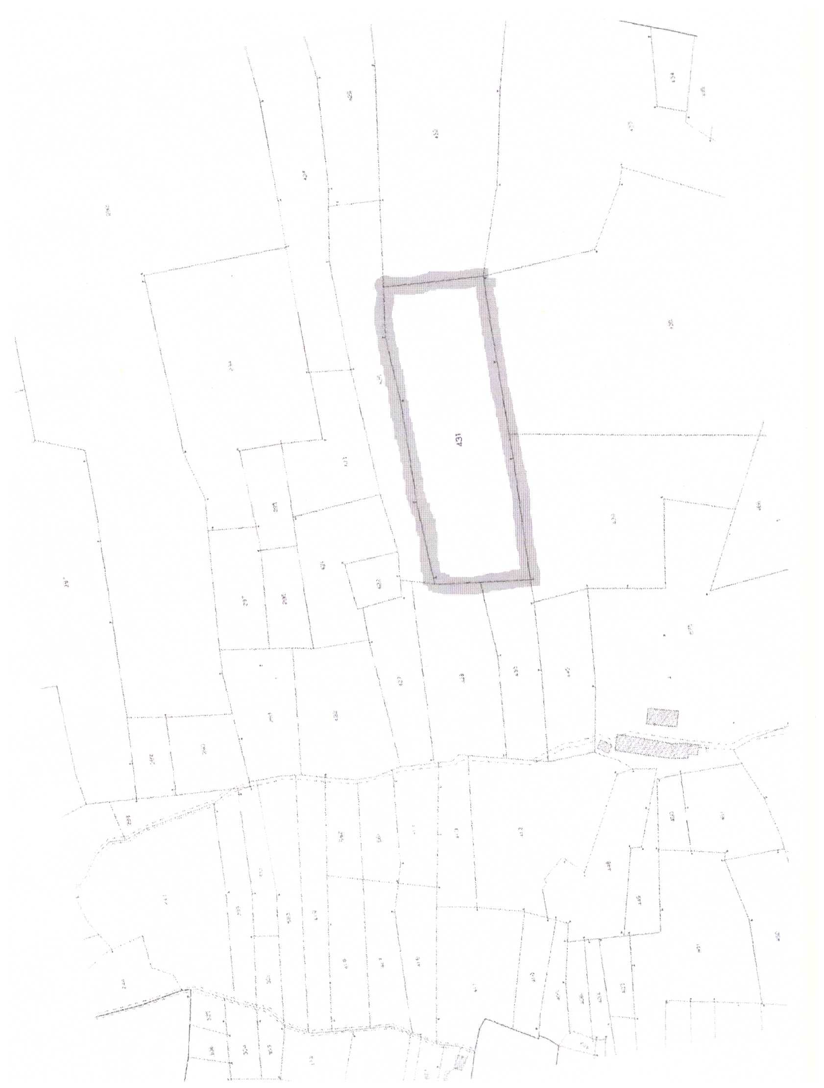 TRANA – ZONA BOSCHIVA OLTRE BORGATA GALLETTO. C.T. Foglio 32 mappale n. 431