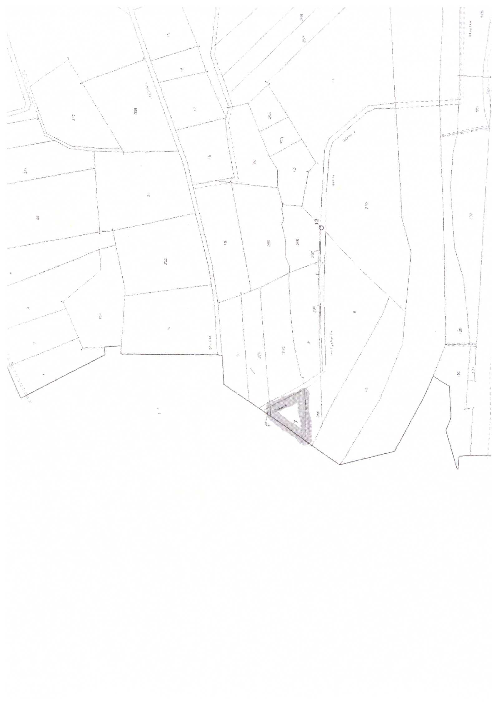 TRANA – zona pressi Via Ruffino. C.T. Foglio 8 mappale n. 7