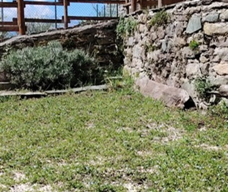 fto